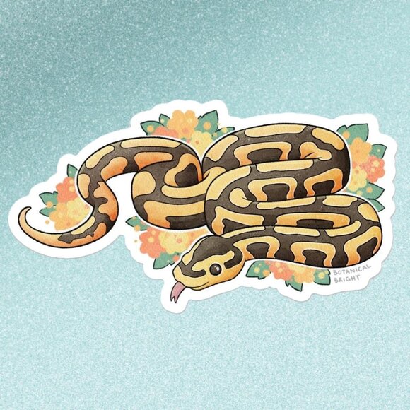 3 for $15‎ - Ball Python Snake Sticker - Waterproof Vinyl Nature Decal - Picture 7 of 7